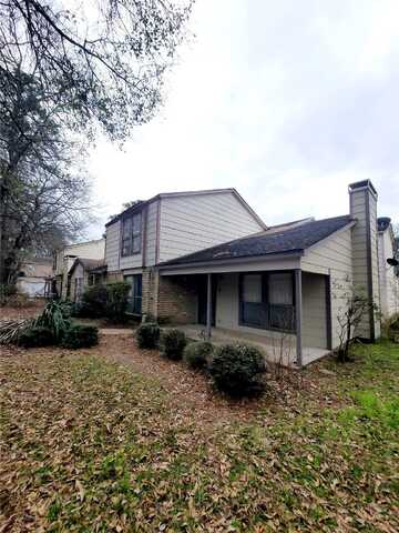 Wild Pine, HOUSTON, TX 77039