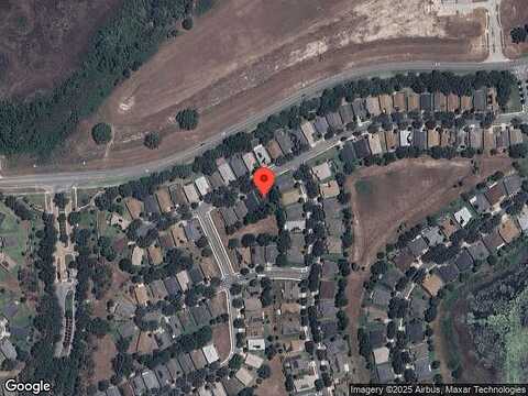 Crepe Myrtle, GROVELAND, FL 34736
