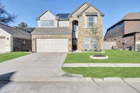 Colossal Oak, HOUSTON, TX 77066