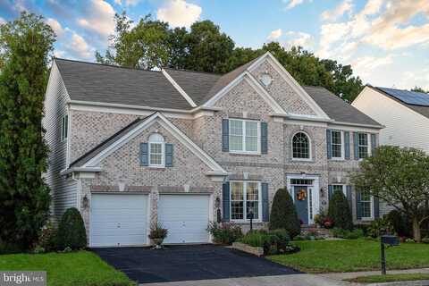 Pasquel Flower, LORTON, VA 22079