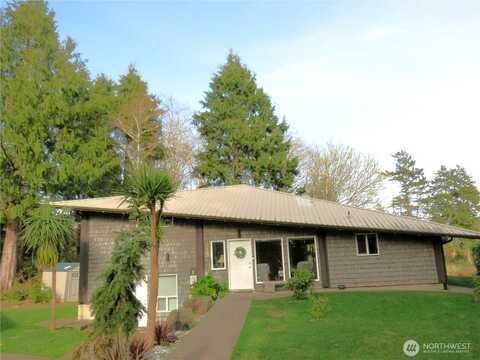 Dolphin, OCEAN SHORES, WA 98569