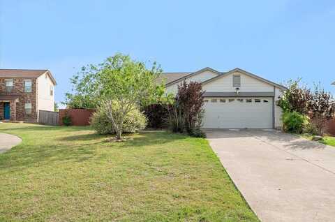 Palo Pinto, ROUND ROCK, TX 78665