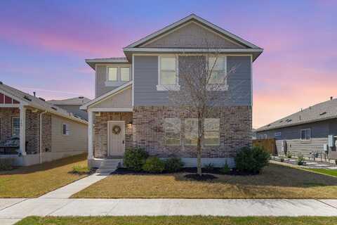 Arabian Colt, GEORGETOWN, TX 78626