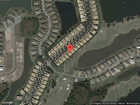 Palm Tree, KISSIMMEE, FL 34759