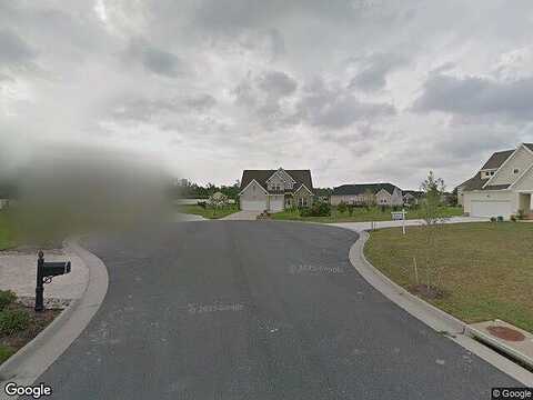 Betula, VIRGINIA BEACH, VA 23456