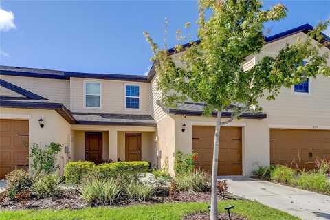 Companion, TAMPA, FL 33619