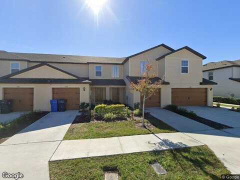 Companion, TAMPA, FL 33619
