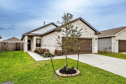 Hickory Pecan, TOMBALL, TX 77375