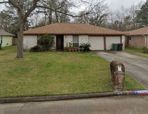 Valley Lake, HOUSTON, TX 77078