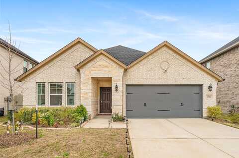 Pond Apple, CONROE, TX 77385