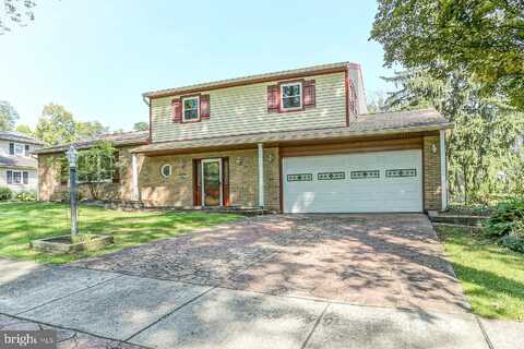 Harness, CAMP HILL, PA 17011