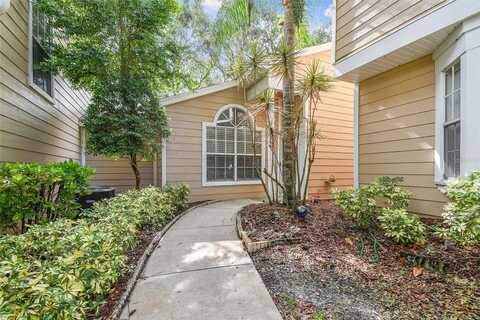 Hounds, PALM HARBOR, FL 34683