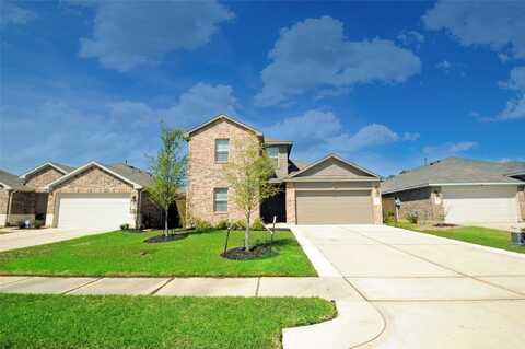 Owl, NEW CANEY, TX 77357
