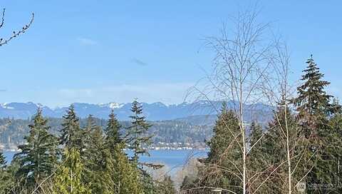 161St, BELLEVUE, WA 98008