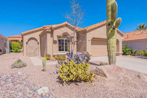 Jonquil, ORO VALLEY, AZ 85755