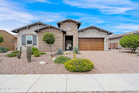 Fluffgrass, TUCSON, AZ 85755