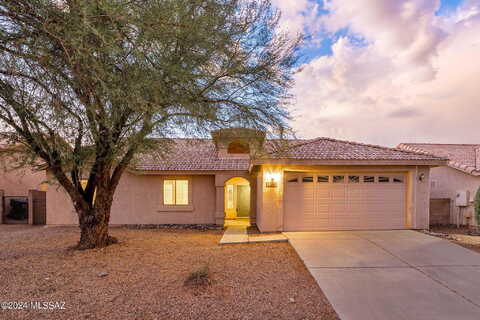 Heartleaf Willow, TUCSON, AZ 85747