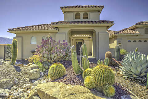 S Winding Trail Drive, Saddlebrooke, AZ 85739