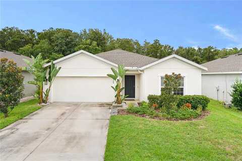 Hunters Meadow, LAND O LAKES, FL 34638