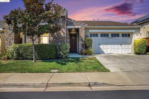 Gamay, BRENTWOOD, CA 94513