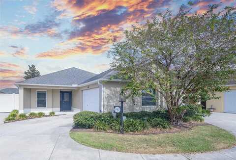 Ida, THE VILLAGES, FL 32163