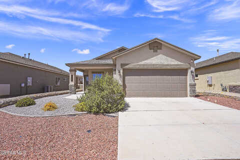 Mesquite Thorn, EL PASO, TX 79934