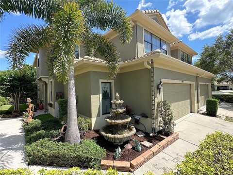 Tasso, SEMINOLE, FL 33777