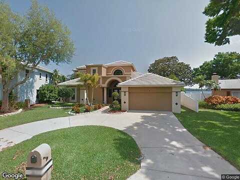 Freshwater, PALM HARBOR, FL 34684