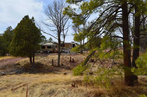 Blackfoot, PAYSON, AZ 85541