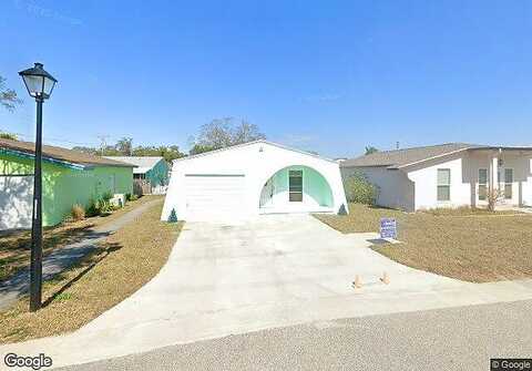 Ibis, DUNEDIN, FL 34698