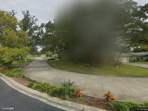 Orange Tree, PALM HARBOR, FL 34684