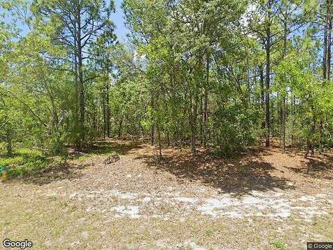 N Vaughn Drive, CITRUS SPRINGS, FL 34434