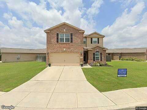 Luckey Tree, SAN ANTONIO, TX 78252
