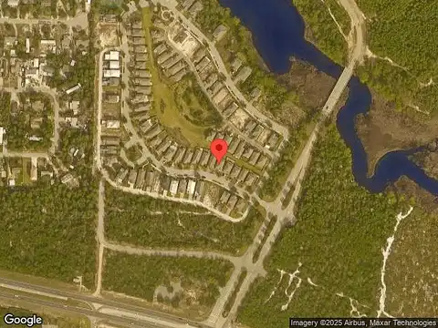 Turtle, PANAMA CITY BEACH, FL 32413