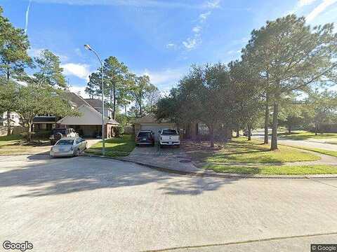 Great Basin, HUMBLE, TX 77346