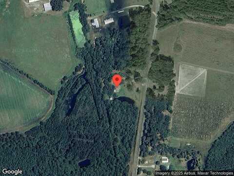 Dairy, HINESVILLE, GA 31313