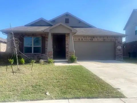 Plumbago, FORT WORTH, TX 76108