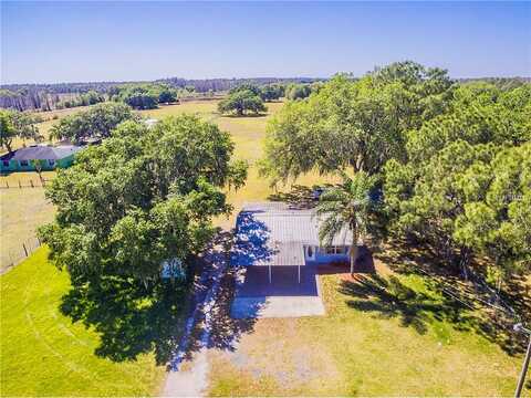 Bruton, PLANT CITY, FL 33565