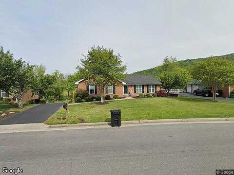 Sunflower, VINTON, VA 24179