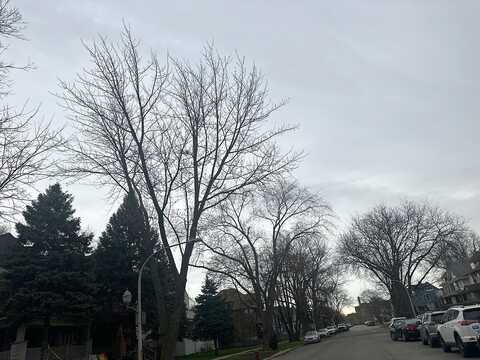 Race, CHICAGO, IL 60644