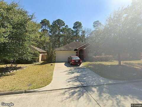 Silver Lure, HUMBLE, TX 77346