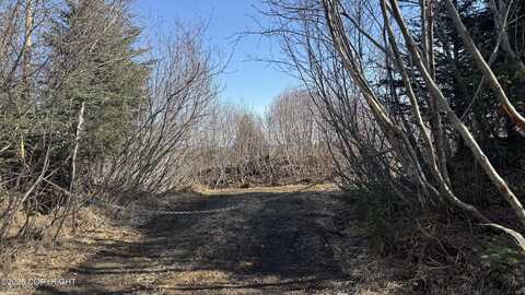 35674 Erin Way, Anchor Point, AK 99556