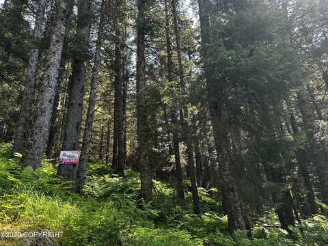 L15 B11 Malcolm Street, Seldovia, AK 99663