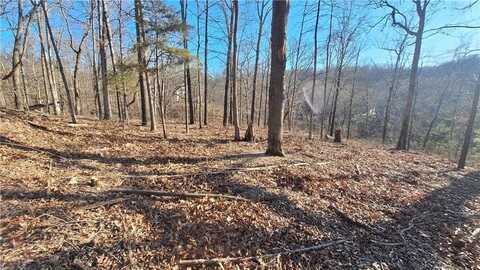 Lune LN, Bella Vista, AR 72714