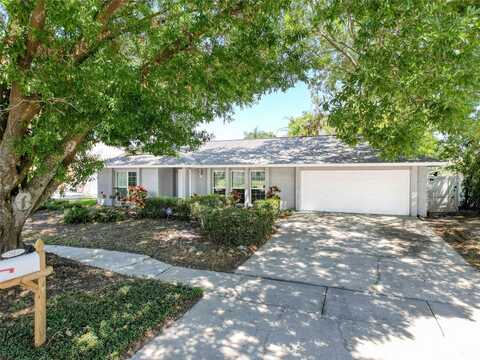 12404 CARDIFF DRIVE, TAMPA, FL 33625