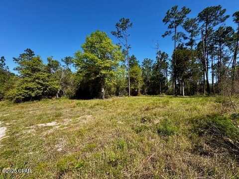Tbd Akers Trail, Chipley, FL 32428