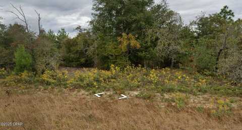 Lot 10 Pennington Drive, Chipley, FL 32428