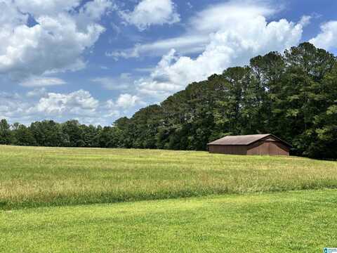 16414 HIGHWAY 61, WILSONVILLE, AL 35186