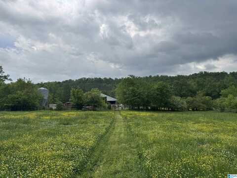1045A SAND VALLEY ROAD, REMLAP, AL 35133