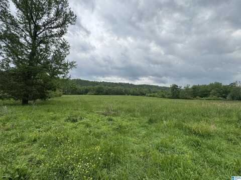 1045A SAND VALLEY ROAD, REMLAP, AL 35133